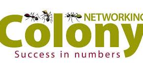 Warrington/Lymm Colony Networking