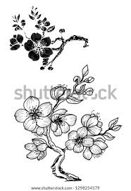 They're one of the most recognizable symbols of japan and springtime. Cherry Blossom Tattoo Drawing Outline Drawing Tutorial Easy