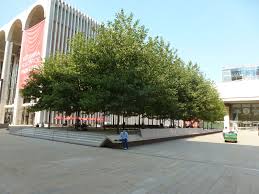 Trees At Lincoln Center Bosque New York New York 2011 Landscape Concept Lincoln Center Street Installation