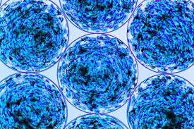 Are we close, and does it even make sense to try? A Better Way To Encapsulate Islet Cells For Diabetes Treatment