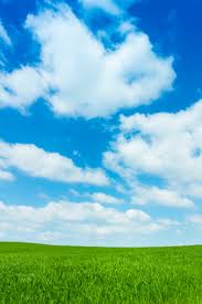 Blue Sky And Green Grass Stock Photo