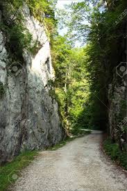 Zărnești is a town in brașov county, transylvania, romania, with a population of 21,681. Scene From Precipice Of Zarnesti Romania Stock Photo Picture And Royalty Free Image Image 14272845