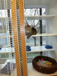4 paws pet resort inc. Four Paws Pet Resort 4020 Old Sibley Memorial Hwy Eagan Mn 55122 Usa
