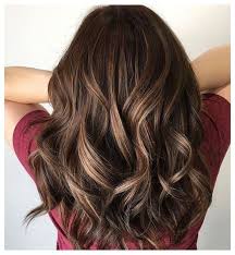 Our Favourite 12 Brown Hair Color Shades For Indian Skin Tones Hair Highlights For In In 2020 Hair Color Highlights Beautiful Hair Color Brown Beautiful Brown Hair