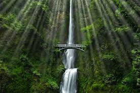 Maybe you would like to learn more about one of these? Top 10 Natural Wonders In North America Places To See In Your Lifetime