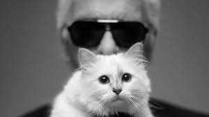 Choupette la préférée de Karl Lagerfeld