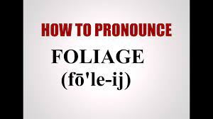 Website offers help on pronouncing names. How To Pronounce Foliage Youtube