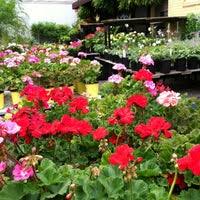 Metropolitan wholesale is family owned, with over 20 years of floral and gardening experience. Metropolitan Wholesale Cityside Flowers Flower Shop In Saddle Brook