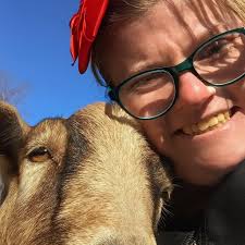 What are some cool houses in Bayside decorated for Halloween to check out?