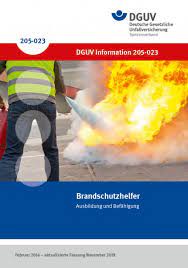 Sie nehmen folgende aufgaben wahr, soweit ihre eigene sicherheit nicht gefährdet ist: Brandschutzhelfer Dguv Publikationen