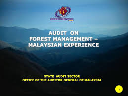 .ketua audit negara negeri johor tahun 2012 siri 1. Audit On Forest Management Malaysian Experience Ppt Download