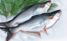 Sebenarnya, ikan patin masih saudara dengan ikan lele. Sering Salah Ini Lho 6 Perbedaan Ikan Dori Dan Ikan Patin Tokopedia Blog