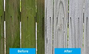 Green On Fence Outdoor Cleaning Get Rid Of Mold Outdoor Cleaners