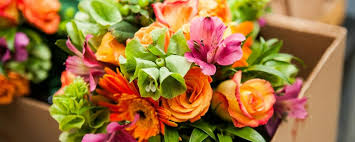 Check spelling or type a new query. Earn Skymiles With Ftd Flowers