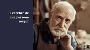 El cerebro de una persona mayor