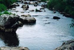 De principalul obiectiv turistic salina turda, are in. Baile Romane De La Turda Ziarul Curentul