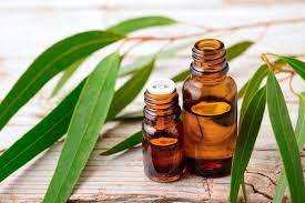 8 Easy Diy Pesticides For Your Garden Homes Com