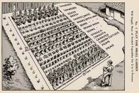 Maybe you would like to learn more about one of these? Victory Gardening Then Now Family Food Garden