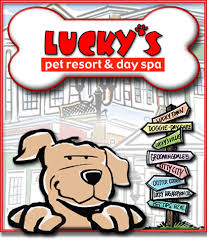 Dogs by andy is lucky to open our second training facility at lucky's pet resort and day spa in greensboro, nc. Lucky S Pet Resort Moments I Paws