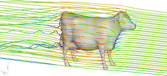 Like just don't look and say.i die at the sky reply. Digital Debunking Could A Tornado Make A Cow Fly Altair Newsroom