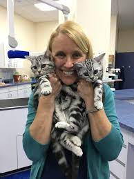 Animal specialty services, except veterinary (0752). Veterinarians In Middleton Wi All Pets Veterinary Clinic Veterinarians In Middleton Wi All Pets Veterinary Clinic