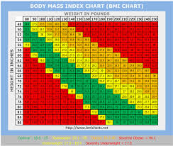 Body Mass Index Dance Health Fitness