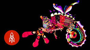 Jun 14, 2021 · estoy acostumbrado a ataques desde todos los ángulos, ninguno de ellos me sorprende, contestó el mandatario con una sonrisa y sin mostrar sorpresa durante una entrevista exclusiva con nbc news. Building Beautiful Monsters In Mexico Youtube