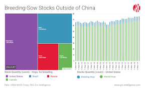 as chinas pig herd shrinks us gears up to fill global pork