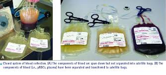 To donate blood, the donor is driven by various factors such as altruism, the feeling of wanting to help patients in need that may include friends and relative, or even after being. Canine And Feline Transfusion Medicine Vetfolio