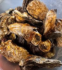 FRESH GULF OYSTERS 🫶🏼 $80 for a 30# bushel or $2 per oyster if you need  less ✨