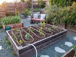 For those of you who don't want to install a full sprinkler system, you can have the perfect one for your space if you build it yourself. Garden Irrigation Solutions Diy Efficient Toxin Free Watering Options Homestead And Chill