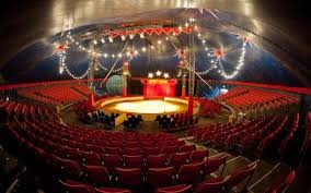 Contact En 2020 Carpa De Circo Lidia Carpa