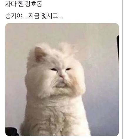 오늘의 유머]승기야 지금 몇시고??? : 네이버 블로그