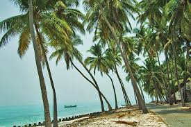 About 32 islands, islets, and atolls comprise lakshadweep archipelago. Lakshadweep Islands Pearls In Oyster Travel To India Cheap Flights To India Aviation News India Travel Tips