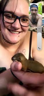 How to care for an abandoned baby squirrel?