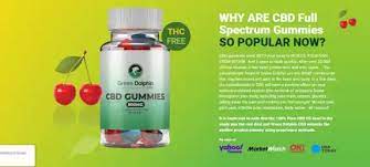 cbd gummy bears cannabinoid edible
