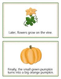 The Life Cycle Of A Pumpkin Exploring The Parts Of A Pumpkin In 2020 Parts Of A Pumpkin Pumpkin Life Cycle Life Cycles