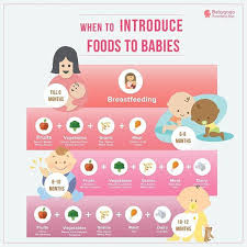 A Food Chart For Your Kids Know What Food To Feed Them When