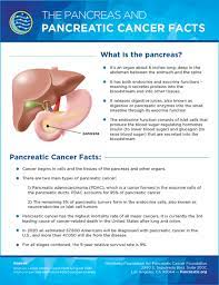 Skin or eye yellowing this happens when a small pancreatic tumor begins to develop, blocking the bile duct located in the head of your pancreas and leading to the buildup of bile. Pancreatic Cancer Facts Hirshberg Foundation For Pancreatic Cancer Research