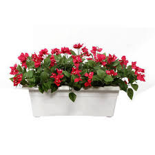 Your red bougainvillea flowers stock images are ready. Dark Pinl Red And Off White Artificial Bougainvillea Flower Rs 3600 Piece Id 5012324448