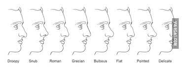 If you are a person who prefers coloring your hair to cutting it, you can choose bright or unusual hues to take the viewer's focus away from your nose. What S Your Nose Type Mine Is Grecian Nose Types Nose Shapes Nose Drawing