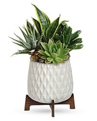 Our iowa city florists are here to help create the perfect gift for all of the important occasions in your life. Teleflora S Modern Mood Succulent Garden In Des Moines Ia Hy Vee Floral Shop
