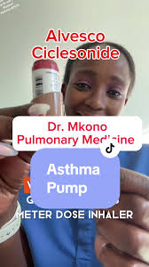 Image result for Inhaled Ciclesonide