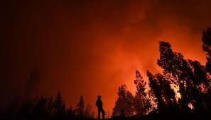 Maybe you would like to learn more about one of these? 10 Contoh Teks Berita Singkat Unsur 5w 1h Strukturnya The Book