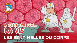 Such is life a phrase that is a way of shrugging off what can't be helped. Il Etait Une Fois La Vie Les Sentinelles Du Corps Youtube