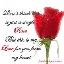 Roses N Romance L L Beautiful Love Quotes L L Rose Love Quotes Rose Quotes Single Red Rose