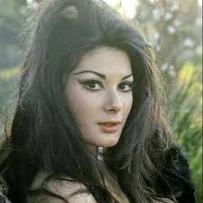 13th Floor Elevators