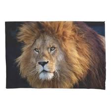 wild predator lion with mane pillow case zazzle com lion cats and kittens predator