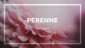 20 Beautiful Spanish Words To Add To Your Vocabulary Beautiful Spanish Words Spanish Words Beauty Words