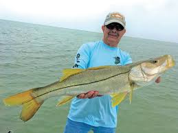 What is the best way to catch a snook? Snook